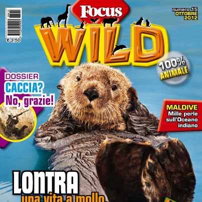 focus wild ottobre 2012 580417_450901894948464_996343968_n